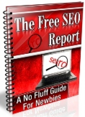 The Free SEO Report
