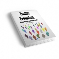 Traffic Evolution