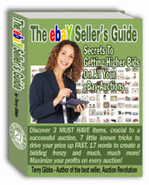 The Ebay Sellers Guide