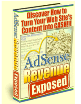 AdSense Revenue Exposed